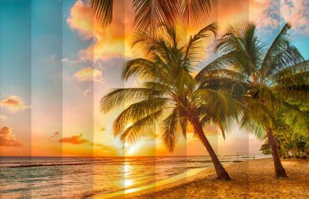 Fotožaluzie Západ slunce palmy 1-40676241