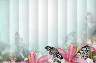 Fotožaluzie - Květy s motýly 2