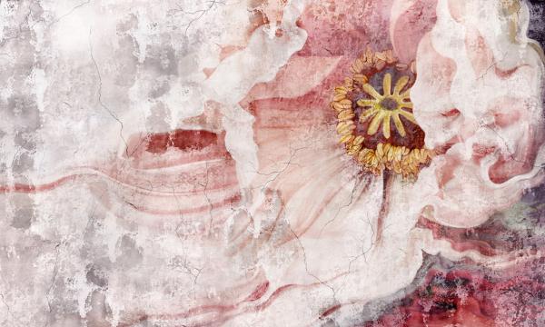 Fototapeta - Malovaný květ na staré zdi