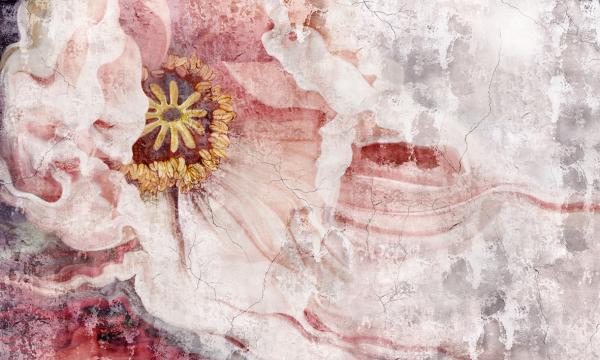 Fototapeta - Malovaný květ na staré zdi