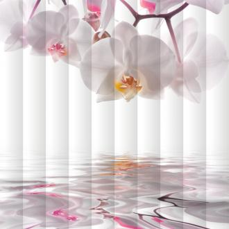 Fotožaluzie orchidej bílá 1-6691233