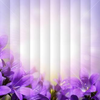 Fotožaluzie - Fialové květy