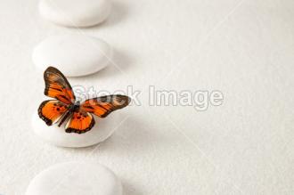 Fotožaluzie - Motýl na bílém kameni