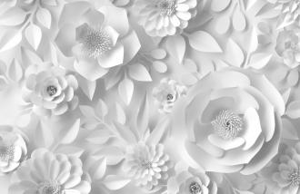 Fototapeta 3D - bílé květy