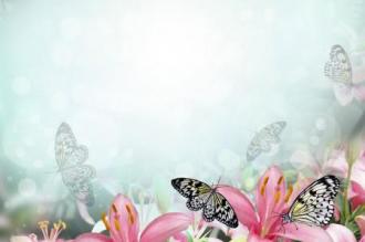 Fotožaluzie - Květy s motýly 2