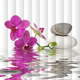 Fotožaluzie orchidej nad vodou s oblázky 33612034